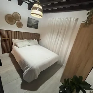 https://apartamento-jerez-centro-san-miguel.es-andalucia.com